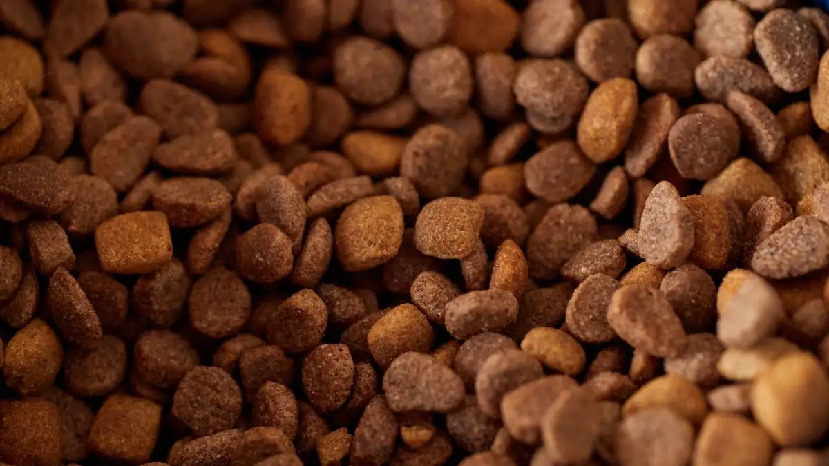 Is the Feeding Chart on the Bag Right for Your Dog?
