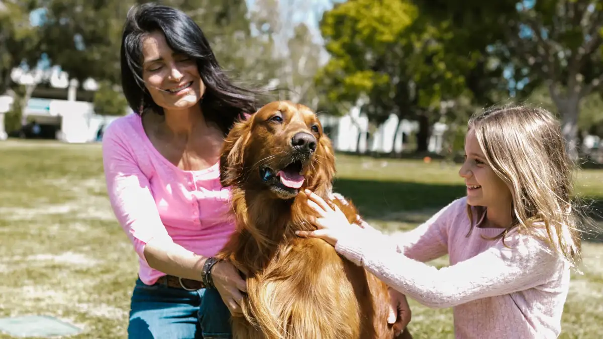 How to Match a Dog's Energy to Your Family's Daily Life