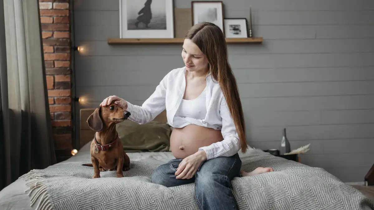 How to Prepare Your Dog for a New Baby Before Birth