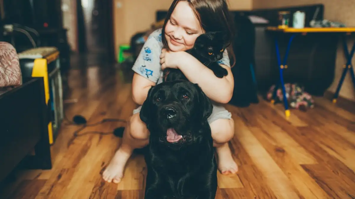 Socializing a Puppy When You Have a Toddler and a Cat