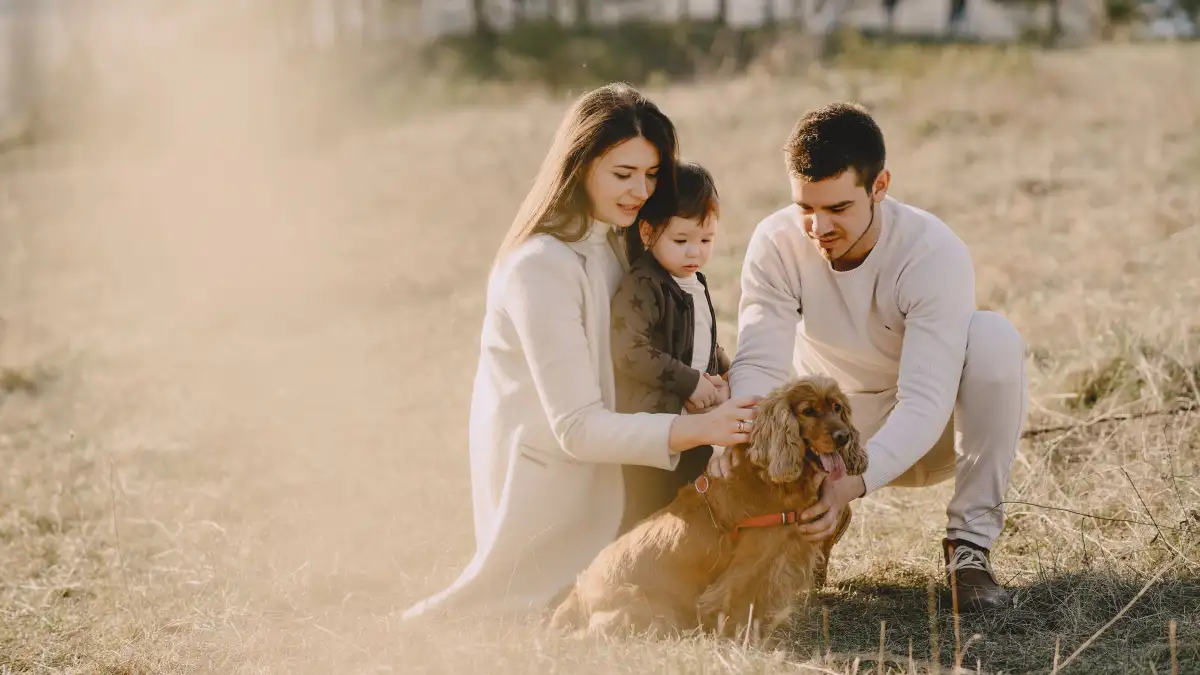 What Actually Makes a Dog a Good Fit for Family Life?
